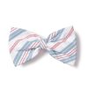 Home Petite Plume | Dog Vintage French Stripes Bowtie