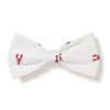 Home Petite Plume | Dog Twill Bow Tie In Brixham Lobsters