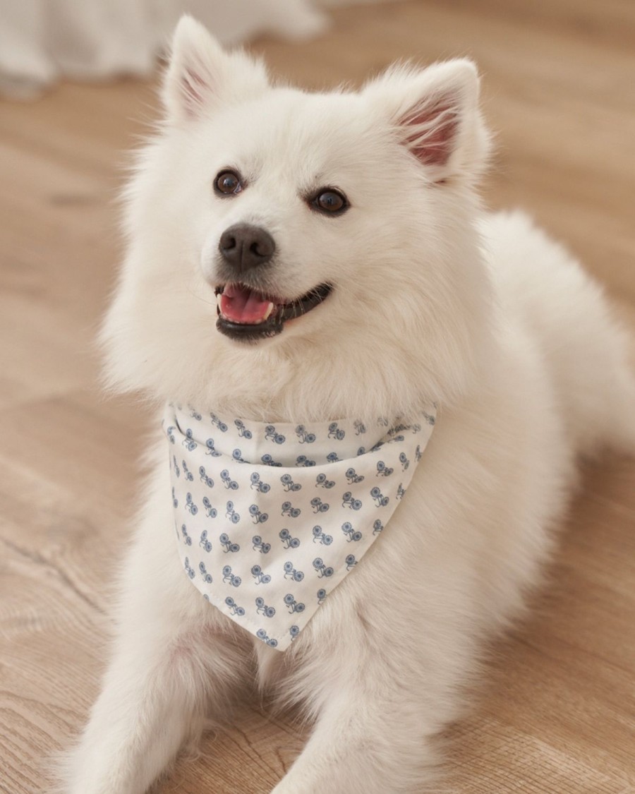 Home Petite Plume | Dog Bandana In French Blue Seersucker