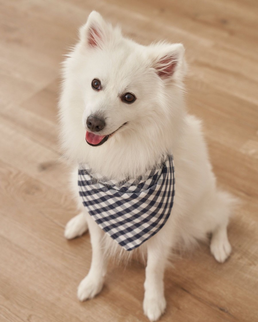 Home Petite Plume | Dog Bandana In La Mer