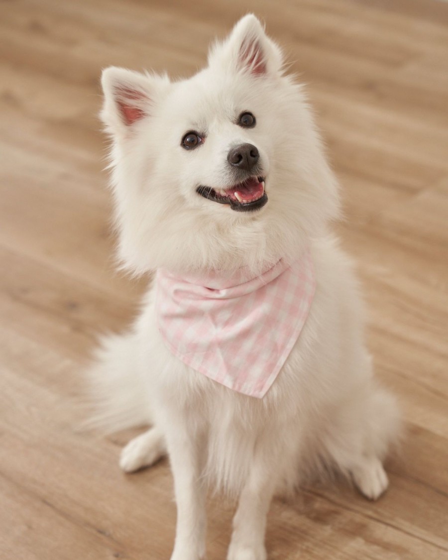 Home Petite Plume | Dog Twill Bandana In Pink Gingham