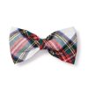 Home Petite Plume | Brushed Cotton Dog Bow Tie In Balmoral Tartan