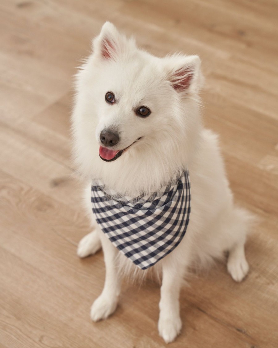 Home Petite Plume | Dog Twill Bandana Light Blue Gingham