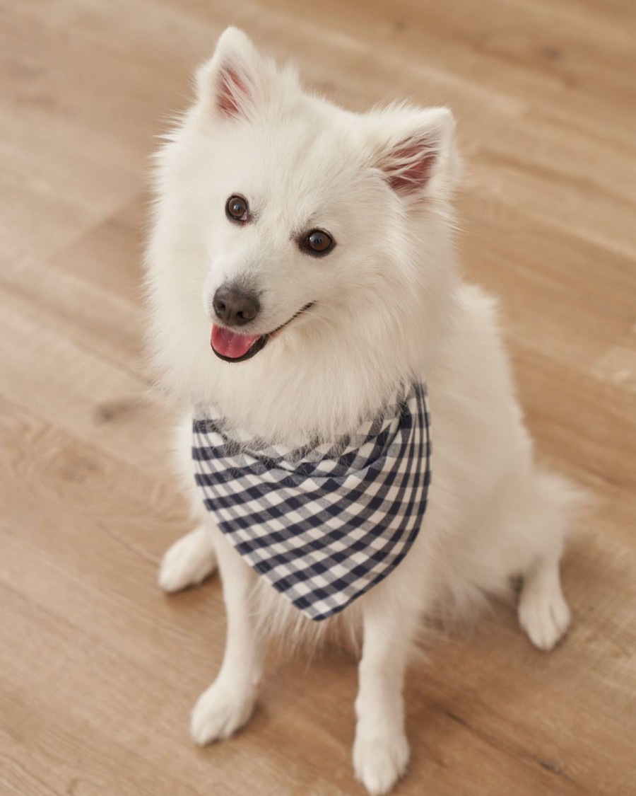 Home Petite Plume | Dog Twill Bandana In Bateau